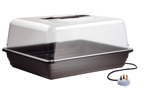 propagator